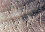 earliest graffiti